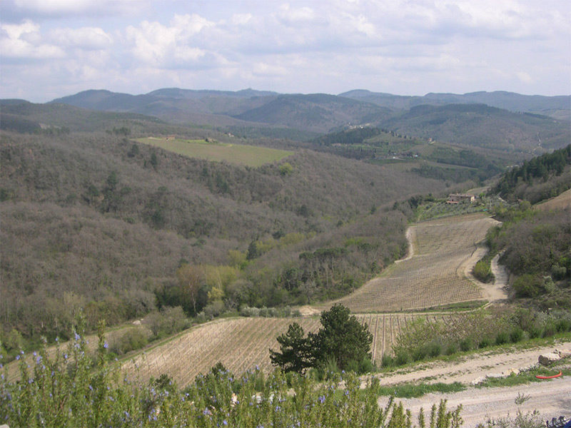 Progetti 92 - San Donato in Perano